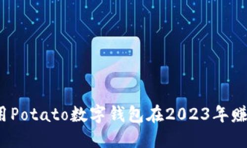 如何利用Potato数字钱包在2023年赚取收益？