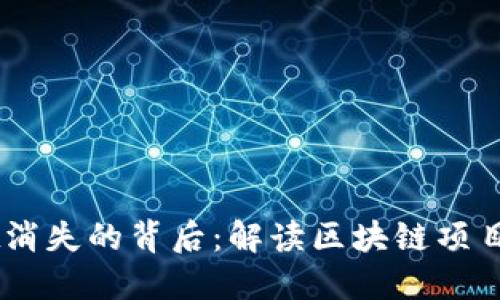 Tokenimdot消失的背后：解读区块链项目的风云变幻