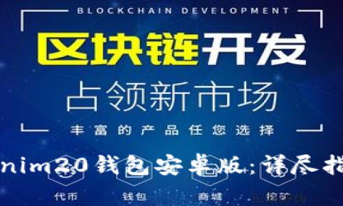 如何下载Tokenim20钱包安卓版：详尽指南与实用技巧