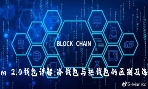Tokenim 2.0钱包详解：冷钱包与热钱包的区别及选择指南