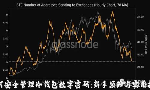 如何安全管理冷钱包数字密码:新手须知与实用技巧