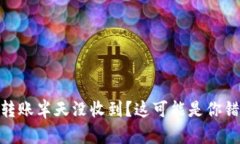 Tokenim 2.0转账半天没收到？这可能是你