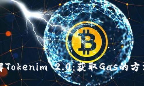 深入了解Tokenim 2.0：获取Gas的方法与技巧