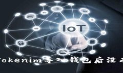 如何解决Tokenim导入钱包后没有币的问题