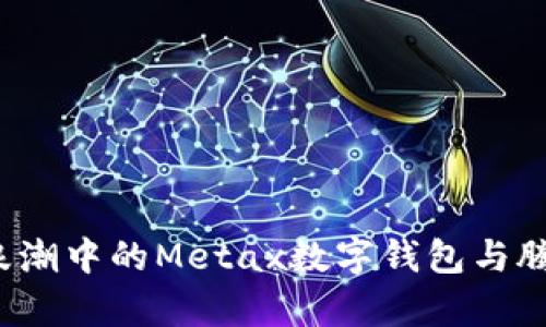 2023年数字经济浪潮中的Metax数字钱包与腾牛科技的创新探索