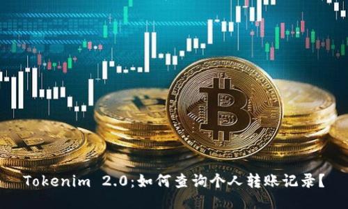 Tokenim 2.0：如何查询个人转账记录？