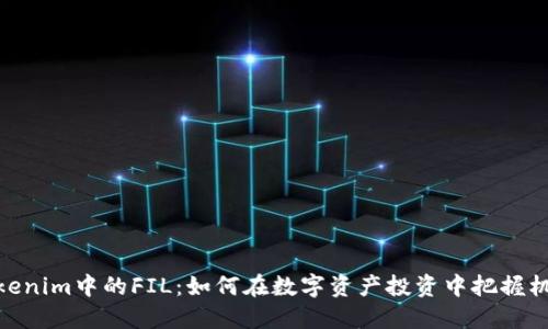 Tokenim中的FIL：如何在数字资产投资中把握机会