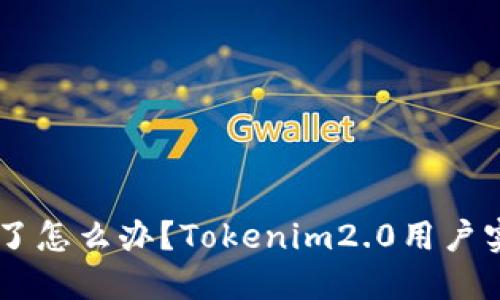 手机坏了怎么办？Tokenim2.0用户实用指南