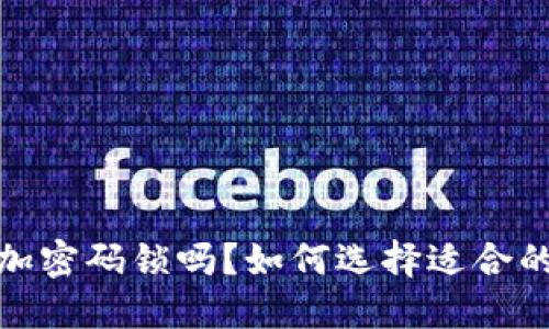 钱包可以加密码锁吗？如何选择适合的安全措施