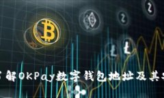全面了解OKPay数字钱包地址及其安全性