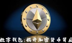 隐秘的数字钱包：揭开加密货币背后的