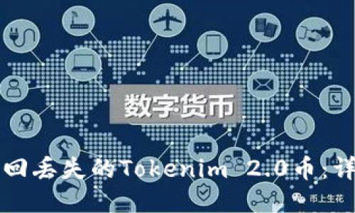 如何找回丢失的Tokenim 2.0币：详尽指南