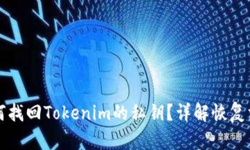 如何找回Tokenim的私钥?详解恢复方法