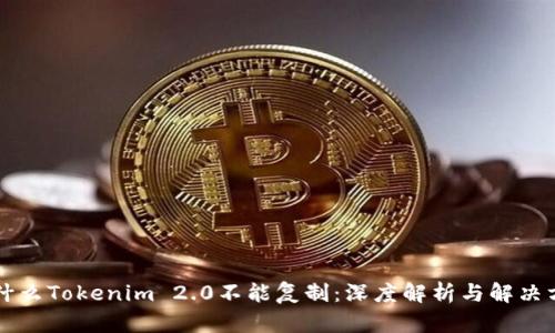 为什么Tokenim 2.0不能复制：深度解析与解决方案