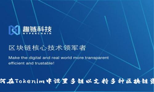 如何在Tokenim中设置多链以支持多种区块链资产