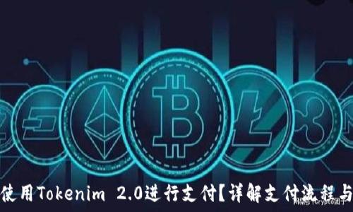 如何使用Tokenim 2.0进行支付?详解支付流程与技巧