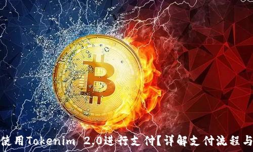如何使用Tokenim 2.0进行支付?详解支付流程与技巧