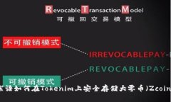 絮语如何在Tokenim上安全存储大零币（