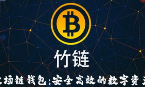 
Tokenim波场链钱包：安全高效的数字资产管理工具