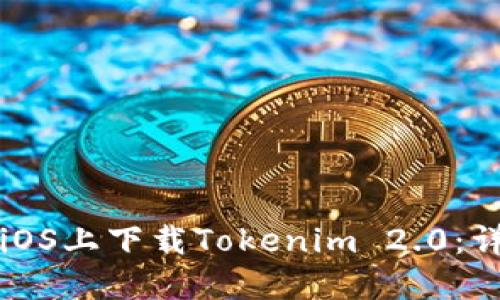 如何在iOS上下载Tokenim 2.0：详细指南