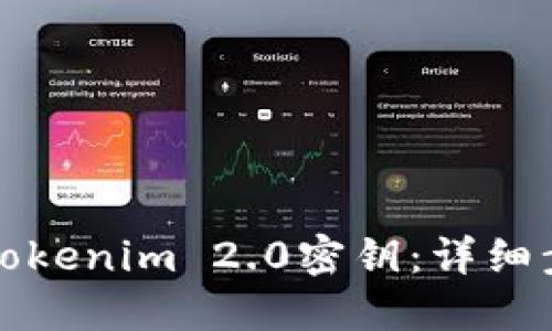 如何下载Tokenim 2.0密钥:详细步骤与指南