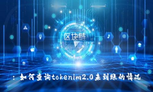 : 如何查询tokenim2.0未到账的情况