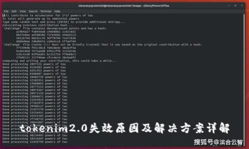 tokenim2.0失效原因及解决方案详解