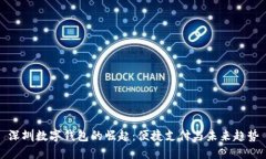 深圳数字钱包的崛起：便捷支付与未来