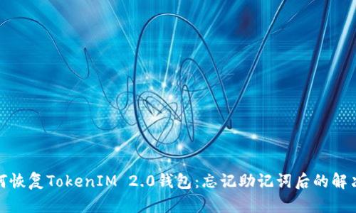 : 如何恢复TokenIM 2.0钱包：忘记助记词后的解决方案