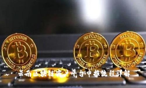 云南区块链商户平台申报流程详解