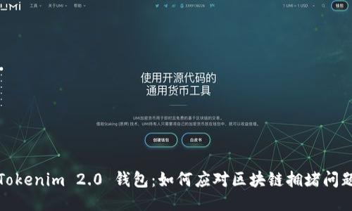 Tokenim 2.0 钱包:如何应对区块链拥堵问题