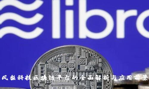 凤梨科技区块链平台的全面解析与应用前景