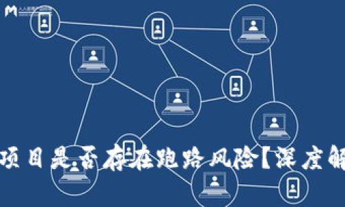TokenIM 2.0项目是否存在跑路风险？深度解析与风险提示