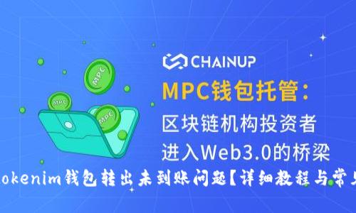 如何解决tokenim钱包转出未到账问题？详细教程与常见问题解析