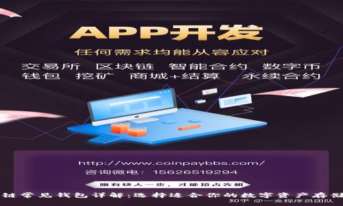 区块链常见钱包详解：选择适合你的数字资产存储方式