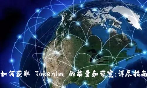 如何获取 Tokenim 的能量和带宽：详尽指南