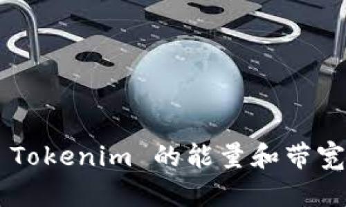 如何获取 Tokenim 的能量和带宽：详尽指南