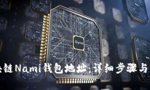 如何查看区块链Nami钱包地址：详细步骤与常见问题解答
