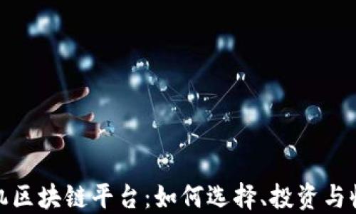 
矿机区块链平台：如何选择、投资与收益