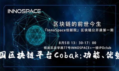 深入探讨韩国区块链平台Cobak：功能、优势与未来展望