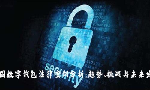美国数字钱包法律案例分析：趋势、挑战与未来发展