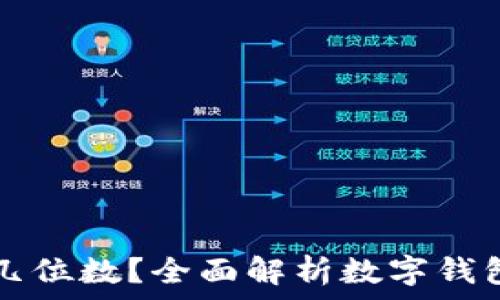 数字钱包账户几位数?全面解析数字钱包安全性与使用