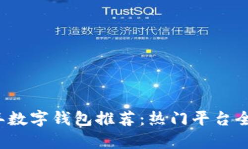 2023年数字钱包推荐：热门平台全面分析